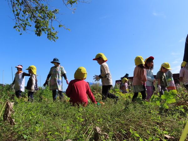 山口保育園のホームページ（岩手県久慈市）